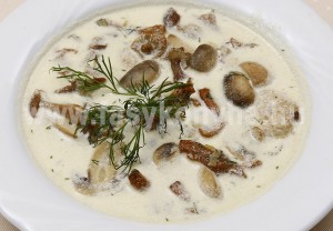 leves Kapros gombaleves 